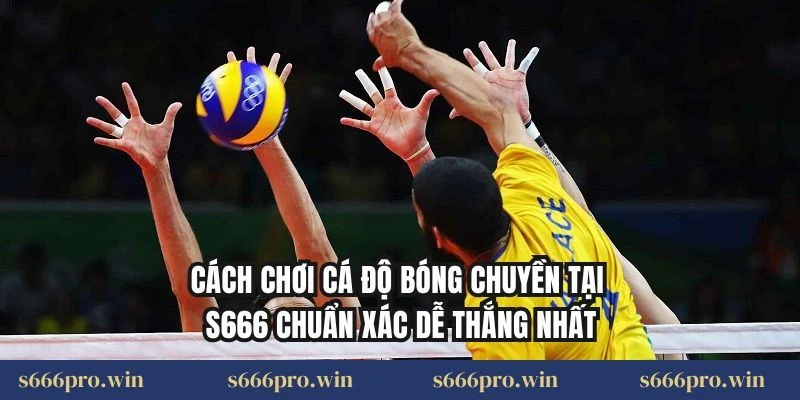 Cách Chơi Cá Độ Bóng Chuyền Tại S666 Chuẩn Xác Dễ Thắng Nhất